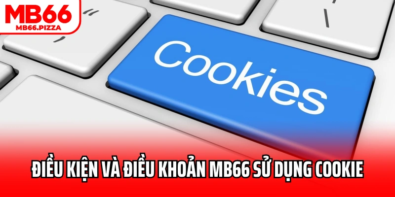 Điều kiện và điều khoản MB66 sử dụng cookie 