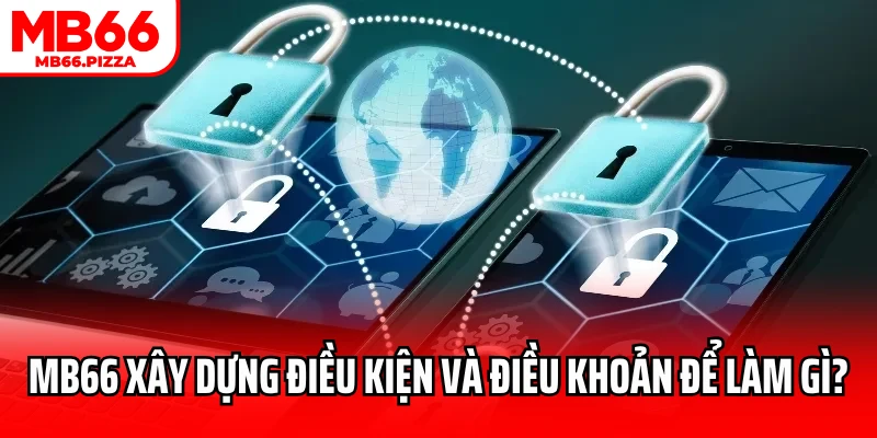 MB66 xây dựng điều kiện và điều khoản với mục đích gì?